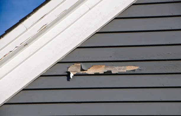 Best Residential Vinyl Siding Installation  in Victory Gardens, NJ