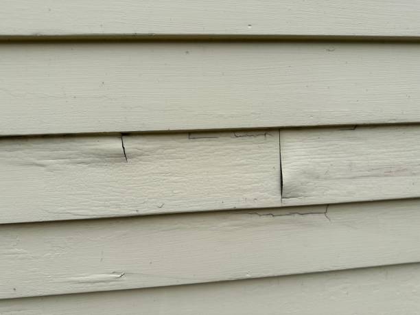 Best Stone Veneer Siding  in Victory Gardens, NJ